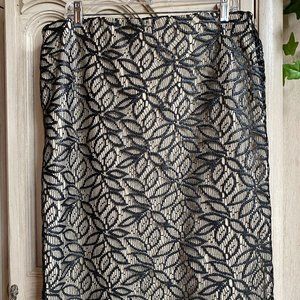 Ann Taylor Lace Skirt